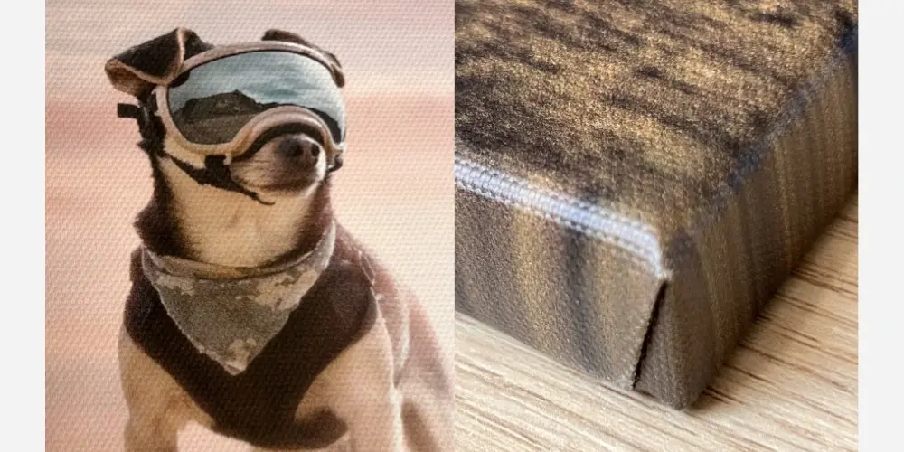 Close-up detail of a CANVASDISCOUNT canvas print surface — the canvas texture adds an artistic quality to Riff's pet portrait without losing fine detail in the fur and eyes.