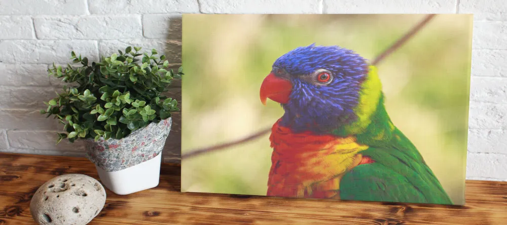 What is a canvas print. Bird photo canvas print.
