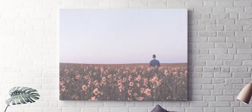 What is the difference between print and poster. Canvas with man in a meadow.