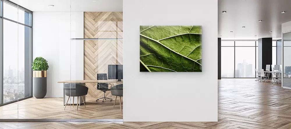 Office canvas art: a canvas print with a nature photo displayed on the office wall