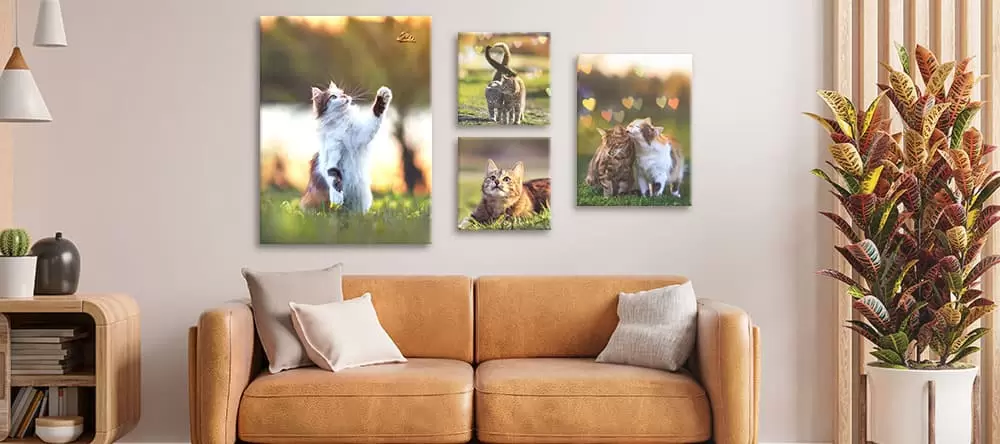 Cat canvas art: a collection of printed cat photos on the wall