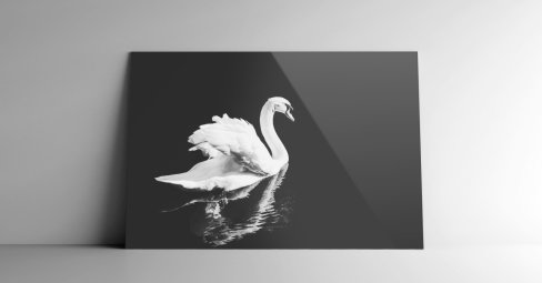 turning photos into acrylic prints monochrome art photo