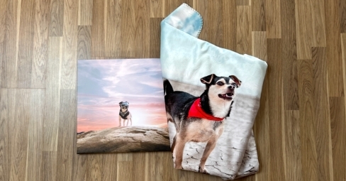 Pet photographer Alicia Rius preparing a dog portrait in Lightroom for high-quality printing