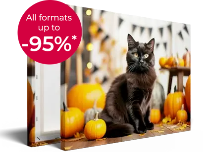 Canvas stretched by hand on wood frame