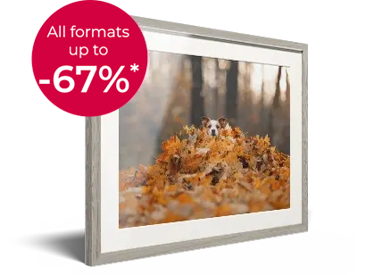 Framed Photo with range of striking frame designs