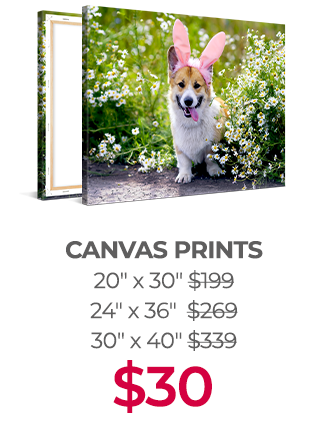 Easter savings! Up to 91% off