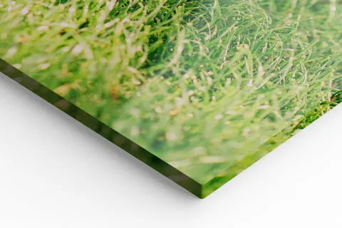 acrylic prints detail