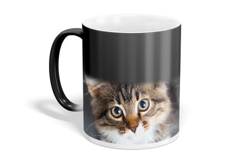 custom magic mug
