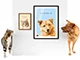 2 pet portraits thumbnail
