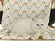 pet pattern cat thumbnail